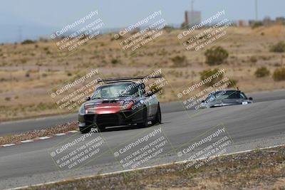 media/May-03-2025-Lucky Dog Racing (Sat) [[206de64b9d]]/Turn 6 (150pm-230pm)/